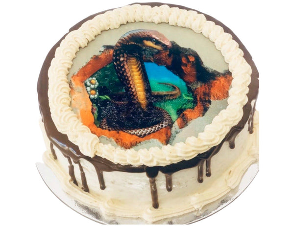 Snake Birthday Cake